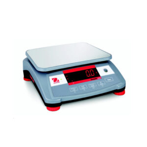 Electronic Balance