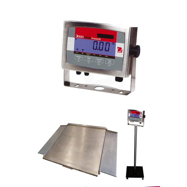 Floor Scale